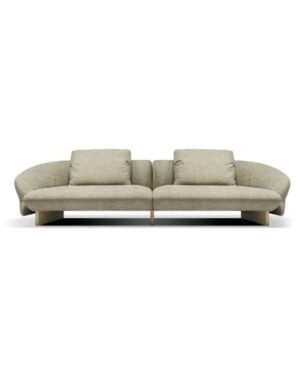 Moderni sofa Fleur baltame fone