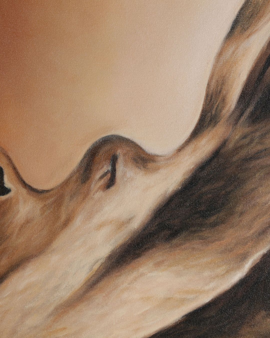 Moters veido paveikslas ant drobės, rusvų - rudų tonų