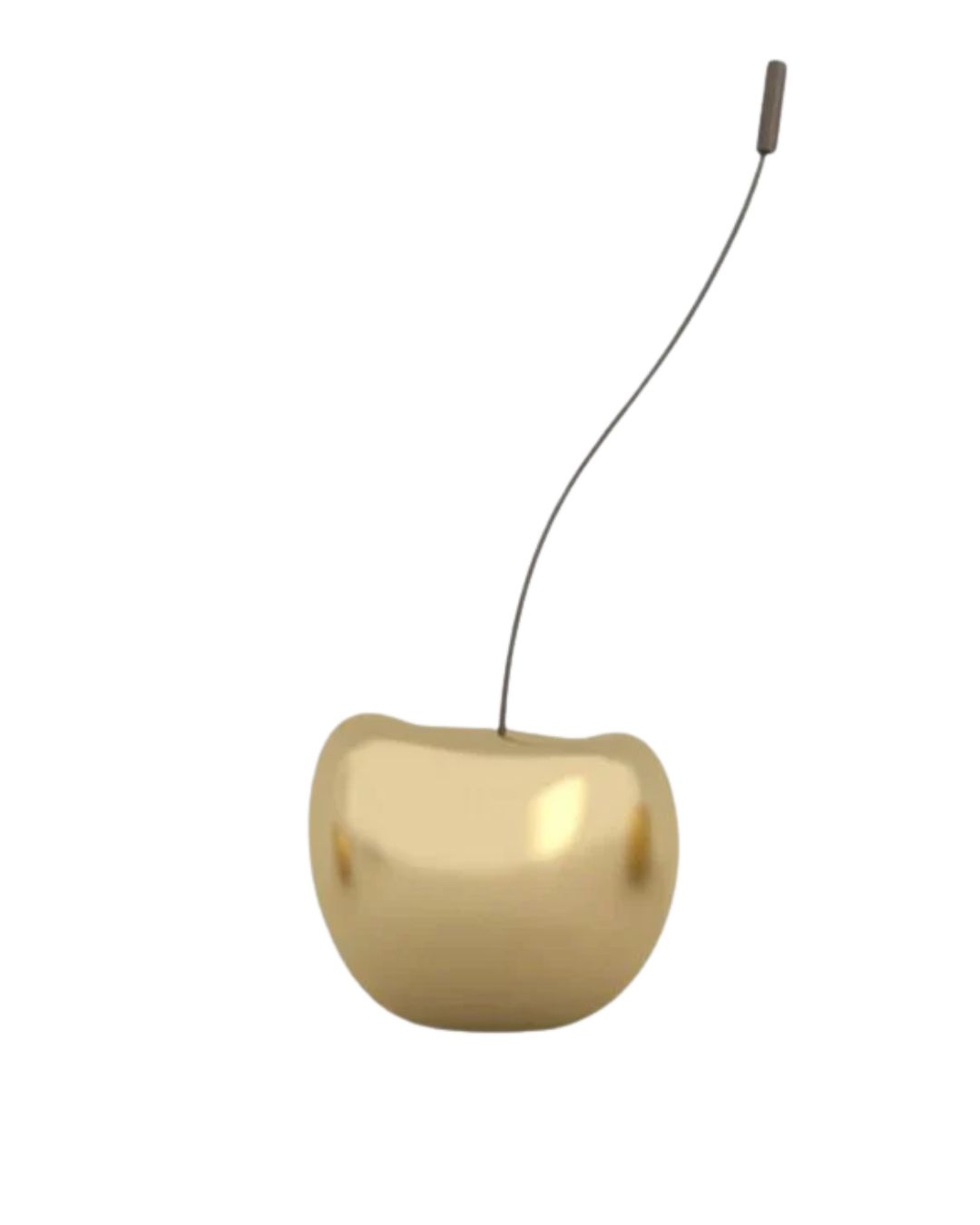 Sienos dekoracija - aukso spalvos vyšnia su koteliu