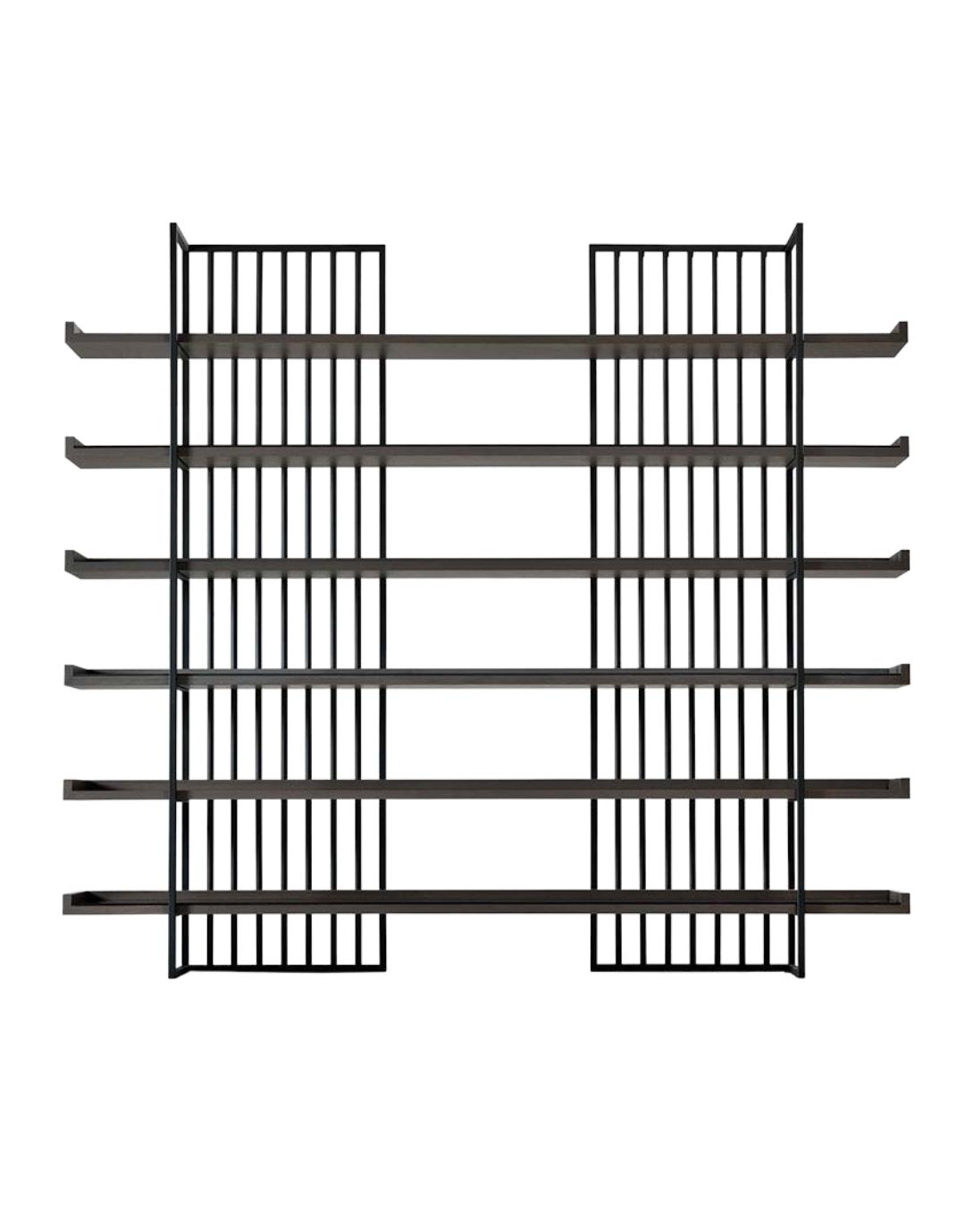 Modernaus dizaino knygų lentyna su metaliniu rėmu ir medinėmis lentynomis