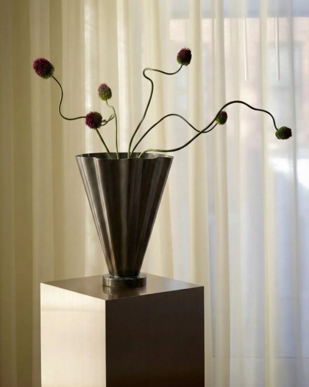 COLL - Image 3